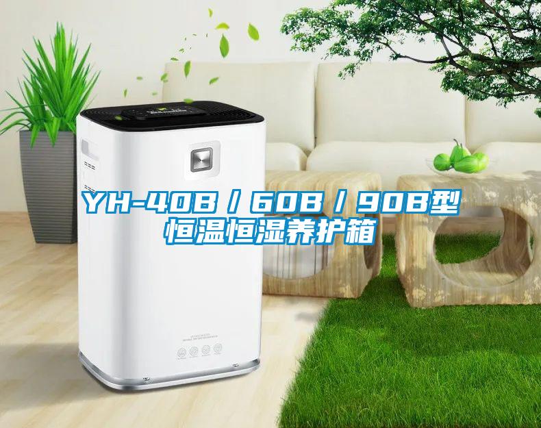 YH-40B／60B／90B型恒溫恒濕養(yǎng)護箱