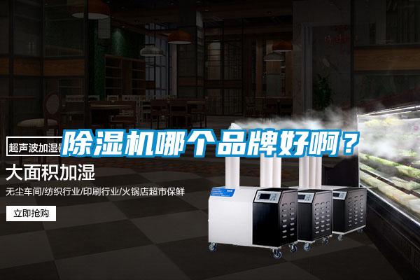 除濕機哪個品牌好???