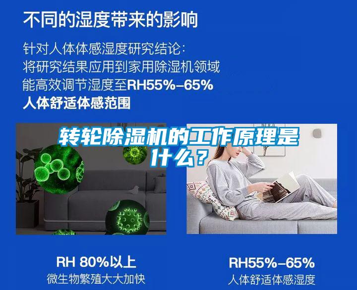 轉(zhuǎn)輪除濕機(jī)的工作原理是什么？
