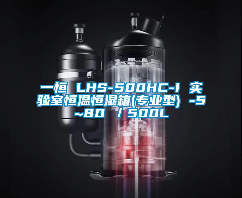 一恒 LHS-500HC-I 實(shí)驗(yàn)室恒溫恒濕箱(專業(yè)型) -5~80℃／500L