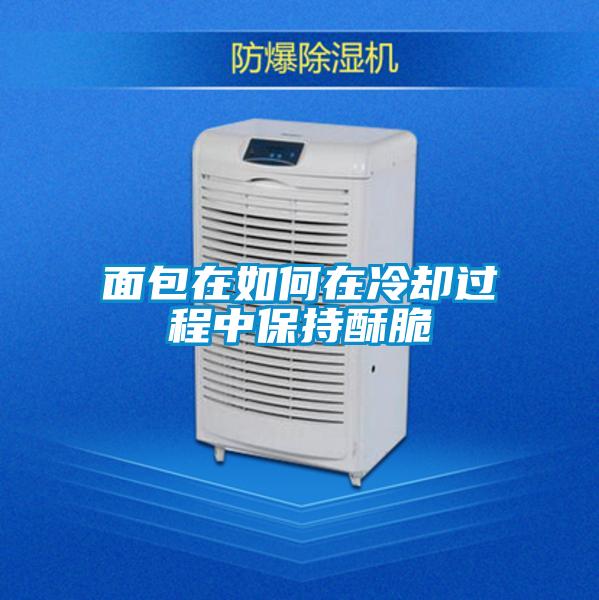 面包在如何在冷卻過(guò)程中保持酥脆