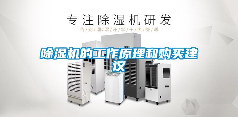 除濕機(jī)的工作原理和購買建議