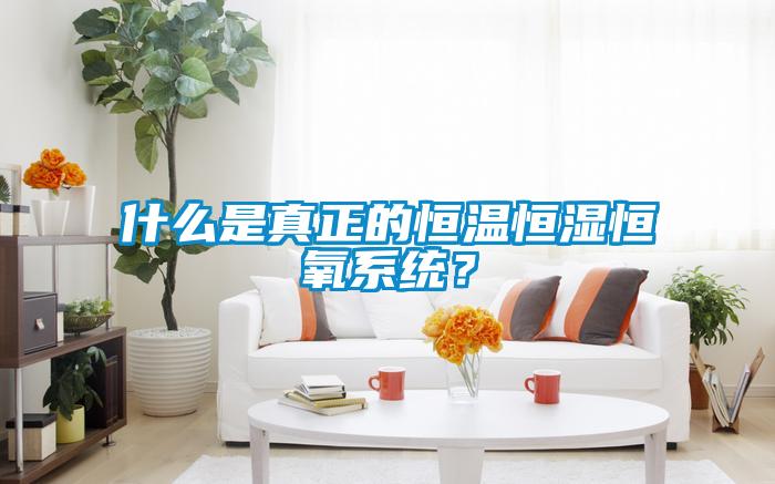 什么是真正的恒溫恒濕恒氧系統(tǒng)？