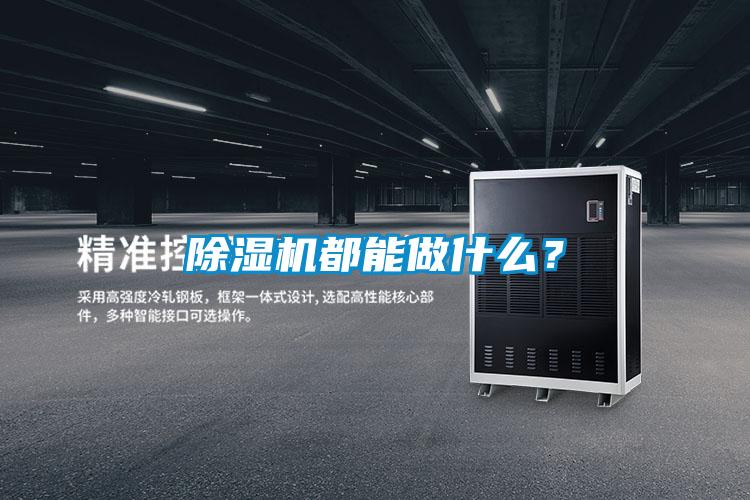 除濕機(jī)都能做什么？