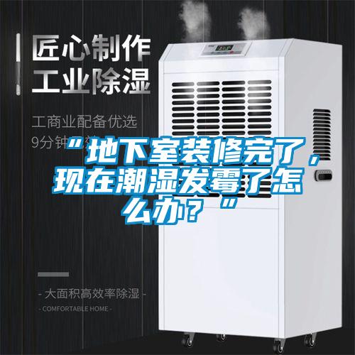 “地下室裝修完了，現(xiàn)在潮濕發(fā)霉了怎么辦？”