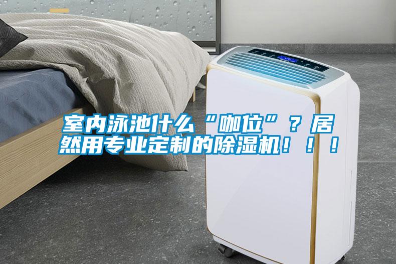 室內(nèi)泳池什么“咖位”？居然用專(zhuān)業(yè)定制的除濕機(jī)?。?！