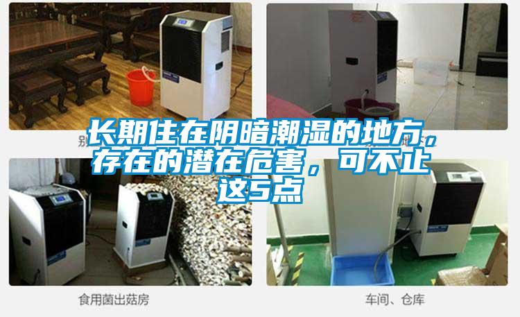 長期住在陰暗潮濕的地方，存在的潛在危害，可不止這5點