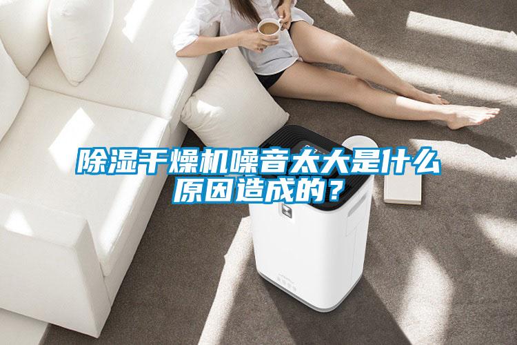 除濕干燥機(jī)噪音太大是什么原因造成的？