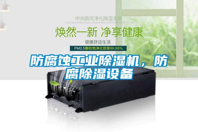 防腐蝕工業(yè)除濕機(jī)，防腐除濕設(shè)備
