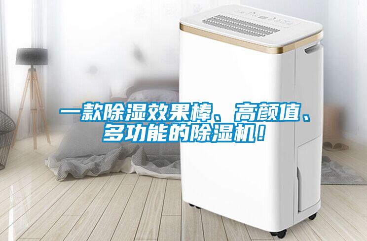 一款除濕效果棒、高顏值、多功能的除濕機！