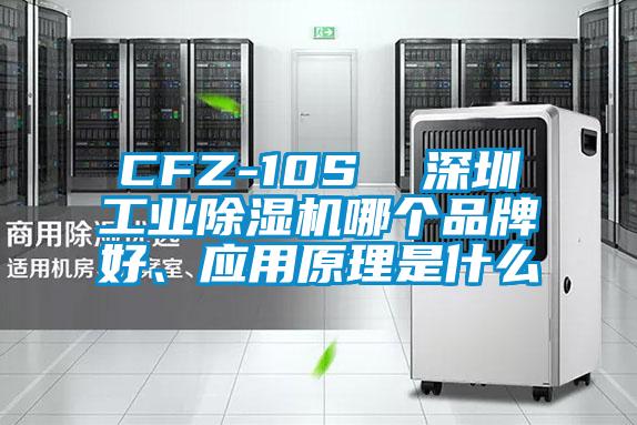 CFZ-10S  深圳工業(yè)除濕機哪個品牌好、應(yīng)用原理是什么