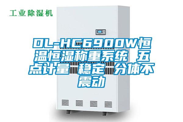DL-HC6900W恒溫恒濕稱重系統(tǒng) 五點(diǎn)計(jì)量 穩(wěn)定 分體不震動