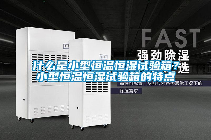 什么是小型恒溫恒濕試驗(yàn)箱？小型恒溫恒濕試驗(yàn)箱的特點(diǎn)