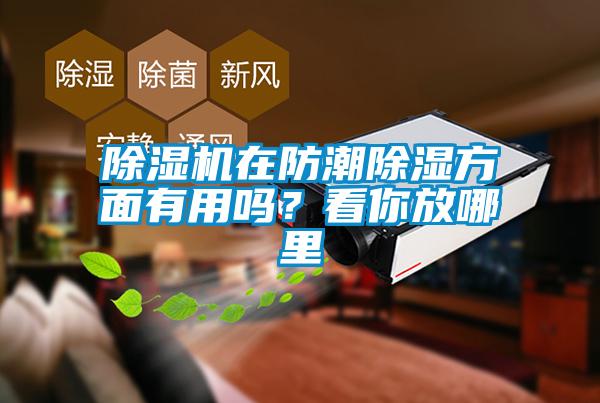 除濕機(jī)在防潮除濕方面有用嗎？看你放哪里