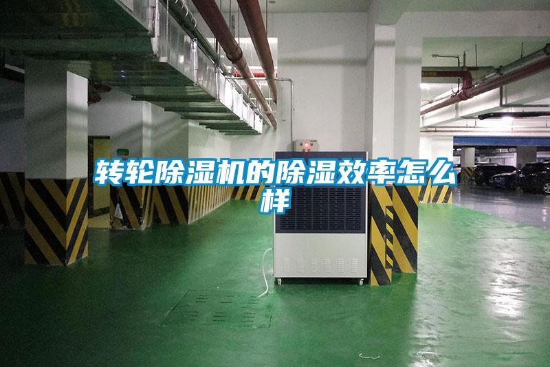 轉(zhuǎn)輪除濕機的除濕效率怎么樣