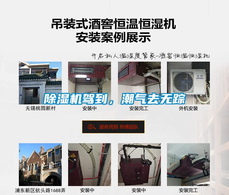 除濕機(jī)駕到，潮氣去無蹤