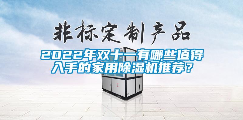 2022年雙十一有哪些值得入手的家用除濕機(jī)推薦？