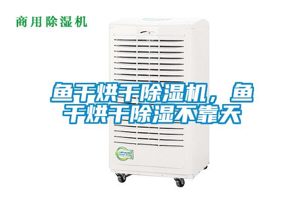 魚干烘干除濕機，魚干烘干除濕不靠天
