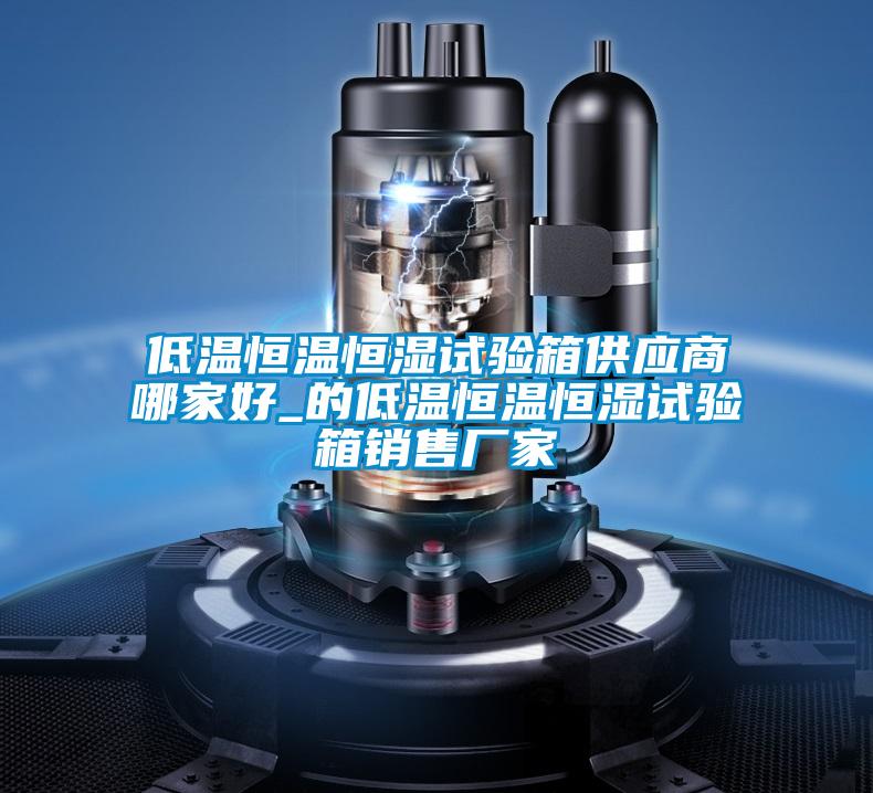 低溫恒溫恒濕試驗(yàn)箱供應(yīng)商哪家好_的低溫恒溫恒濕試驗(yàn)箱銷(xiāo)售廠家