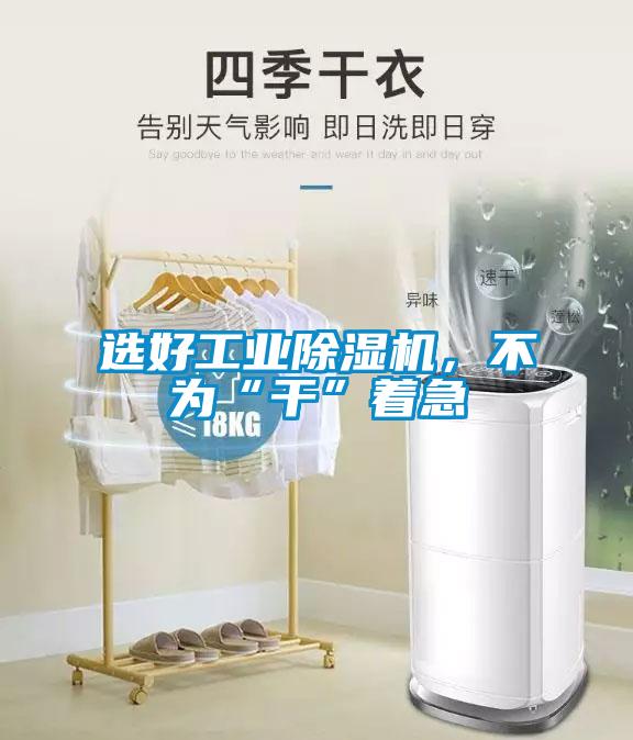 選好工業(yè)除濕機(jī)，不為“干”著急