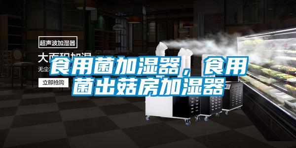 食用菌加濕器，食用菌出菇房加濕器