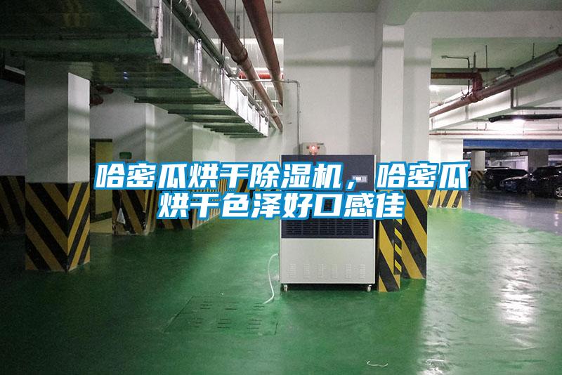 哈密瓜烘干除濕機(jī)，哈密瓜烘干色澤好口感佳