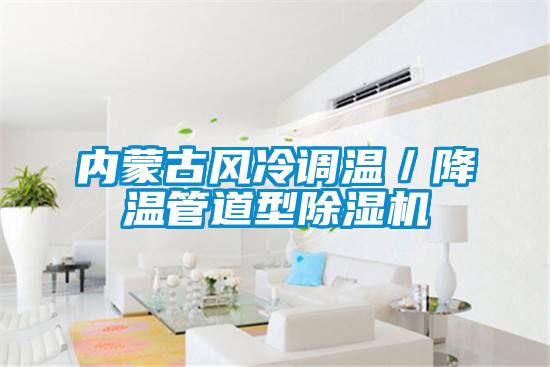內(nèi)蒙古風冷調(diào)溫／降溫管道型除濕機