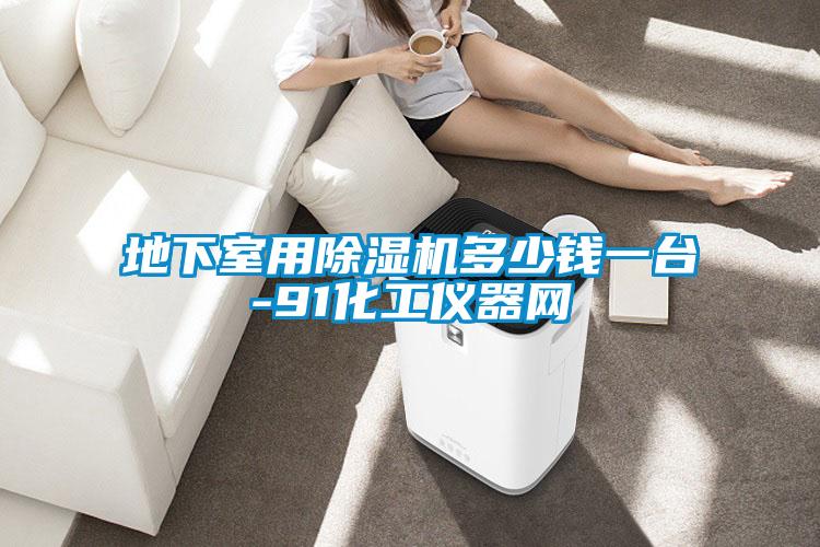 地下室用除濕機(jī)多少錢(qián)一臺(tái)-91化工儀器網(wǎng)