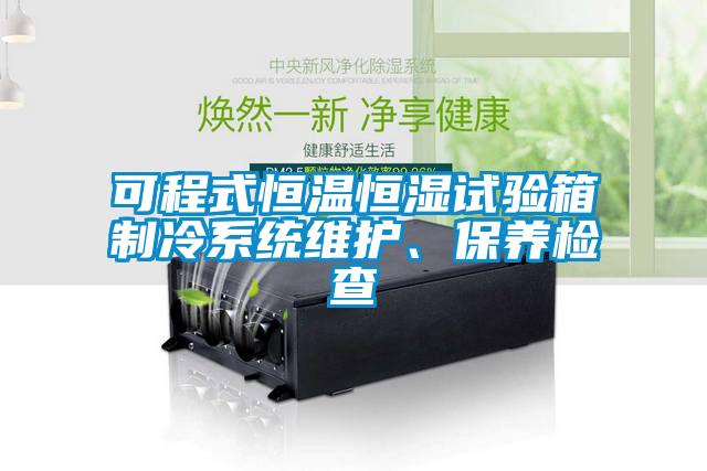 可程式恒溫恒濕試驗(yàn)箱制冷系統(tǒng)維護(hù)、保養(yǎng)檢查
