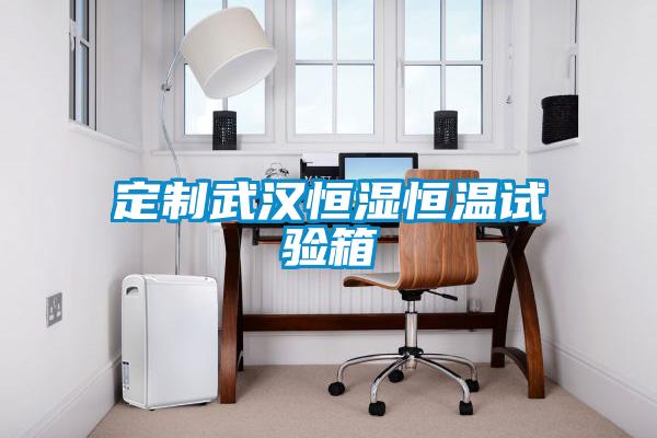 定制武漢恒濕恒溫試驗(yàn)箱