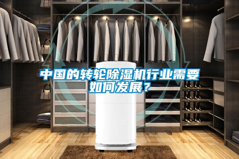 中國(guó)的轉(zhuǎn)輪除濕機(jī)行業(yè)需要如何發(fā)展？