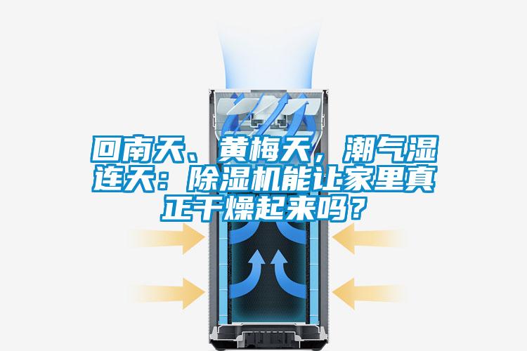 回南天、黃梅天，潮氣濕連天：除濕機(jī)能讓家里真正干燥起來嗎？