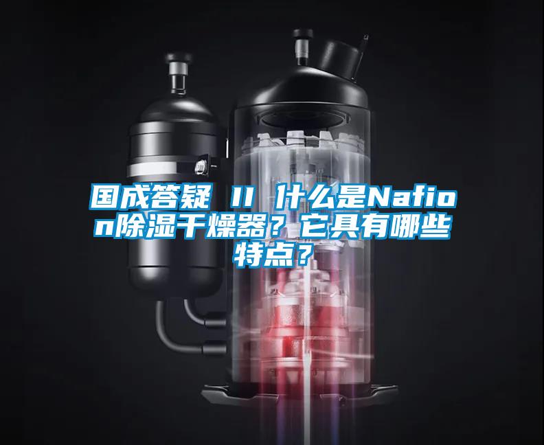 國成答疑 II 什么是Nafion除濕干燥器？它具有哪些特點？