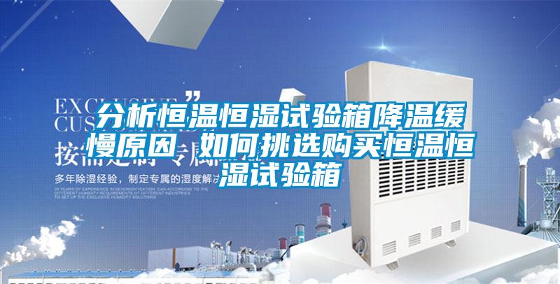 分析恒溫恒濕試驗(yàn)箱降溫緩慢原因 如何挑選購買恒溫恒濕試驗(yàn)箱