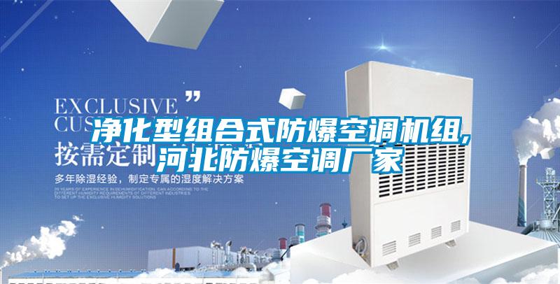凈化型組合式防爆空調(diào)機(jī)組,河北防爆空調(diào)廠家
