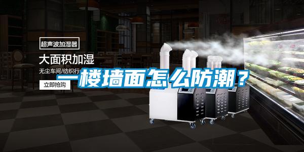 一樓墻面怎么防潮？