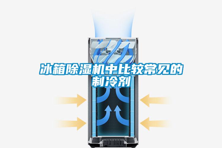 冰箱除濕機(jī)中比較常見的制冷劑