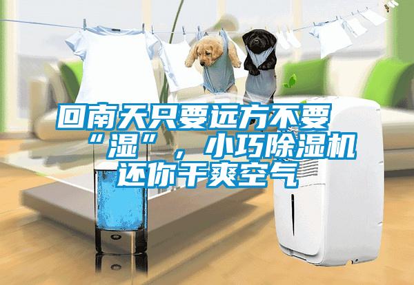 回南天只要遠(yuǎn)方不要“濕”，小巧除濕機(jī)還你干爽空氣
