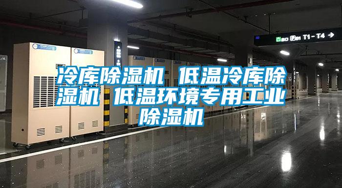 冷庫(kù)除濕機(jī) 低溫冷庫(kù)除濕機(jī) 低溫環(huán)境專(zhuān)用工業(yè)除濕機(jī)