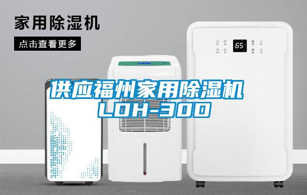 供應(yīng)福州家用除濕機(jī) LDH-30D