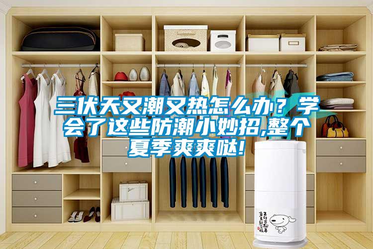 三伏天又潮又熱怎么辦？學會了這些防潮小妙招,整個夏季爽爽噠!