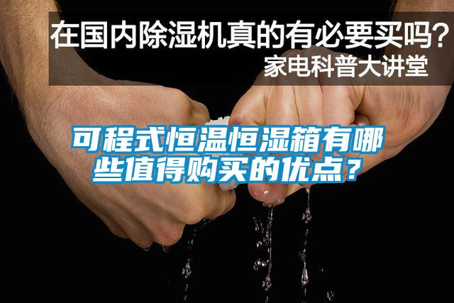 可程式恒溫恒濕箱有哪些值得購買的優(yōu)點？