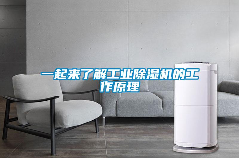 一起來了解工業(yè)除濕機(jī)的工作原理