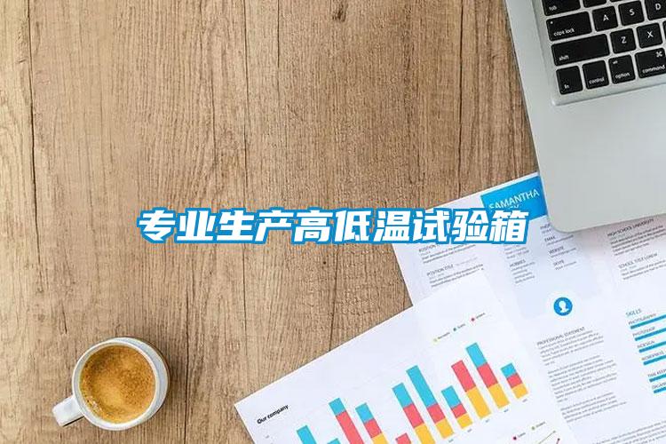專業(yè)生產(chǎn)高低溫試驗箱