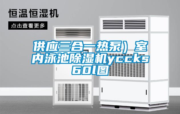 供應三合一熱泵）室內(nèi)泳池除濕機yccks60l圖