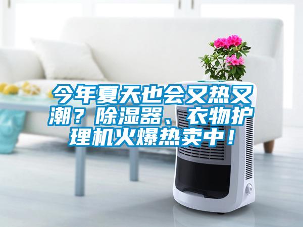 今年夏天也會又熱又潮？除濕器、衣物護(hù)理機火爆熱賣中！