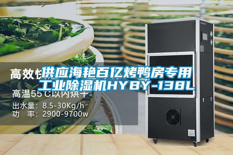 供應海艷百億烤鴨房專用工業(yè)除濕機HYBY-138L