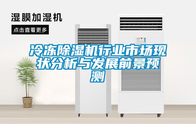 冷凍除濕機行業(yè)市場現(xiàn)狀分析與發(fā)展前景預測