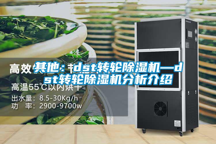 其他：dst轉(zhuǎn)輪除濕機(jī)—dst轉(zhuǎn)輪除濕機(jī)分析介紹