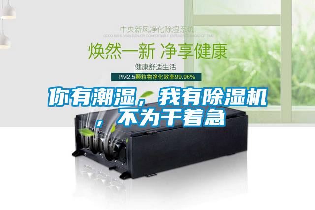 你有潮濕，我有除濕機，不為干著急